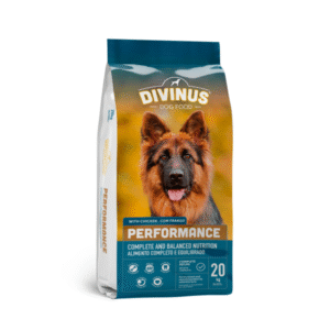 Divinus Performance 20Kg